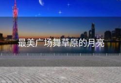 最美广场舞草原的月亮