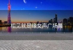 相见就是缘女声广场舞