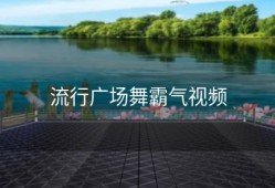 流行广场舞霸气视频