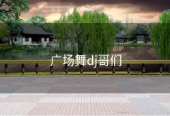 广场舞dj哥们