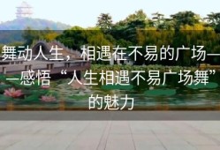 舞动人生，相遇在不易的广场——感悟“人生相遇不易广场舞”的魅力
