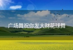 广场舞祝你发大财花球舞