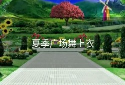 夏季广场舞上衣
