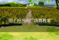 街上好热闹广场舞教学