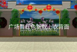 广场舞红色新款上衣背面