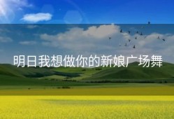 明日我想做你的新娘广场舞