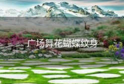 广场舞花蝴蝶纹身