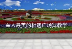 军人最美的相遇广场舞教学