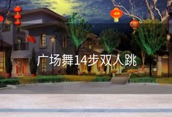广场舞14步双人跳