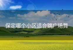 保定哪个小区适合跳广场舞