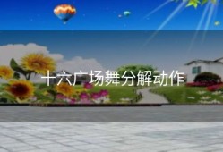 十六广场舞分解动作