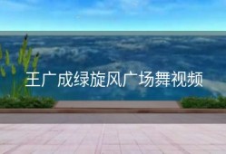 王广成绿旋风广场舞视频