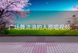 广场舞流浪的人原唱视频