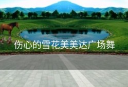 伤心的雪花美美达广场舞