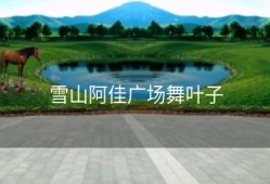 雪山阿佳广场舞叶子