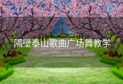 隔壁泰山歌曲广场舞教学