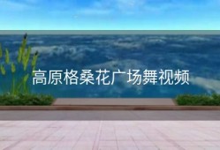 高原格桑花广场舞视频