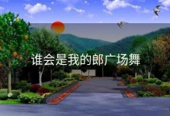 谁会是我的郎广场舞