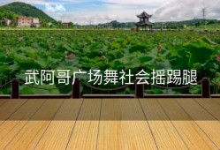 武阿哥广场舞社会摇踢腿