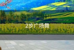 2步广场舞