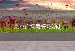 京京广场舞好嗨哟dj