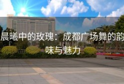 晨曦中的玫瑰：成都广场舞的韵味与魅力