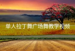 单人拉丁舞广场舞教学视频