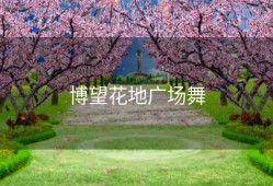 博望花地广场舞