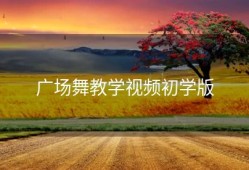 广场舞教学视频初学版