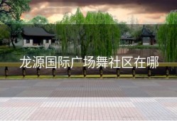 龙源国际广场舞社区在哪