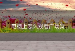 电脑上怎么观看广场舞