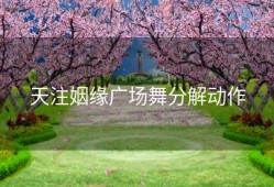 天注姻缘广场舞分解动作