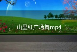 山里红广场舞mp4