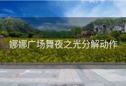 娜娜广场舞夜之光分解动作