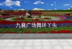 九襄广场舞坏丫头