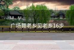 广场舞老乡见老乡16步