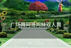 广场舞阿哥阿妹双人舞