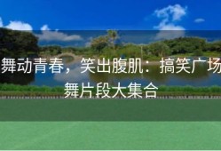 舞动青春，笑出腹肌：搞笑广场舞片段大集合