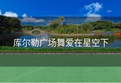 库尔勒广场舞爱在星空下