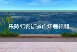 乐陵郭家街道广场舞视频