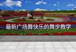 最新广场舞快乐的舞步教学