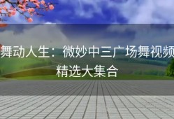 舞动人生：微妙中三广场舞视频精选大集合
