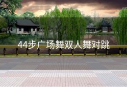 44步广场舞双人舞对跳