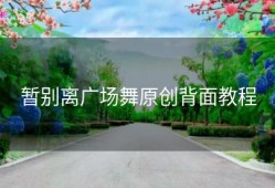 暂别离广场舞原创背面教程