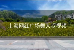 上海网红广场舞大叔视频