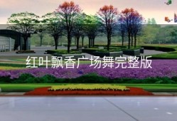 红叶飘香广场舞完整版