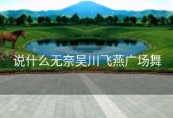 说什么无奈吴川飞燕广场舞