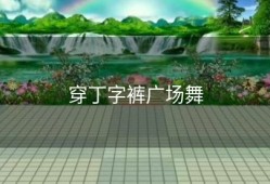 穿丁字裤广场舞