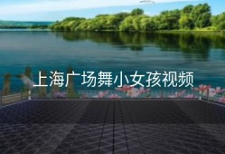 上海广场舞小女孩视频