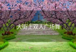 大街上双人广场舞